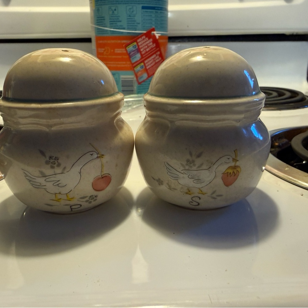Duck Design Salt and Pepper Shakers